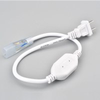 国际电工 LED灯带插头 led灯带软灯条5050/2835/3014吊顶灯光带配套220V灯带