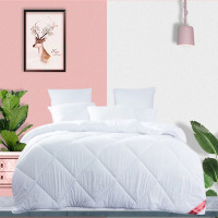 梦洁家纺 沁暖澳毛四季被(羊毛被)1000g 200*230cm