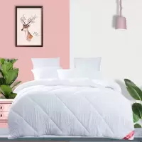 梦洁家纺 沁暖澳毛四季被(羊毛被)1000g 200*230cm