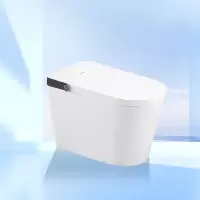 金牌卫浴GOLD 高颜值 家用 脚感冲水全智能马桶 KA(不含安装)RF3217Z-01