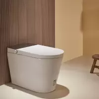 金牌卫浴GOLD 高颜值家用 低水压全智能马桶 KA(不含安装)RF3217Z