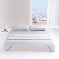 夏送清凉套装三 水星家纺·晨园悠香印花冰丝席