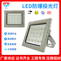 加工大理石灰色LED防爆灯免维护防爆加油站仓库车间化工厂投光灯 工程款-300W 1套
