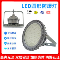 定制圆形防爆灯投光灯免维护50W-300W加油站石油车间化工厂防爆灯 经济款-200W 1只