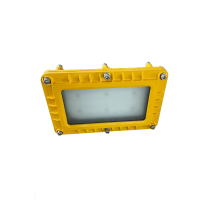 顶火 GMD8124A 电压AC220V 功率20W 防爆应急泛光灯 计价单位:盏 黄色