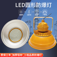 生产 LED防爆灯加油站仓库化工厂工矿灯加油站车间防尘防爆工矿灯 经济款—200W 1只