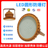 定制圆形防爆灯投光灯免维护50W-300W加油站石油车间化工厂防爆灯 工程款—250W 单位:只