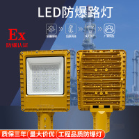 led防爆路灯头50W100W加油站化工厂道路照明灯200W防爆三防路灯头 灰色100W 1只