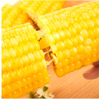 鲜玉米(新鲜)