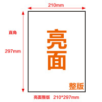 乐标(lopal)A4不干胶标签打印纸贴纸可手写激光喷墨打印防水切割牛皮纸不干胶 亮面整版 50张/包