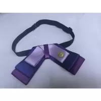 紫色金扣 蝴蝶结领花 职业装配饰