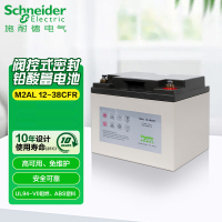 施耐德CFR铅酸蓄电池M2AL12-38CFR