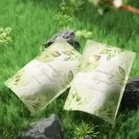 植护樱花树下植萃香氛洗衣液500g/袋*5袋