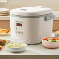 志高(CHIGO)电饭煲4L FBD40-P