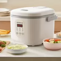 志高(CHIGO)电饭煲4L FBD40-P