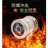 海康威视机芯防爆摄像头poe室外Ex db IIC T6网络摄像机监控器化工厂 1080P