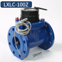 宁波牌LXLC-100Z水表 (含检测)货期7-10天