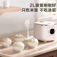 苏泊尔(SUPOR)电饭煲 电饭锅 2L无涂层304不锈钢内胆饭煲家用多功能智能触控微压多功能锅 2L