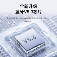 飞利浦(PHILIPS)真无线蓝牙5.3降噪运动ERJI