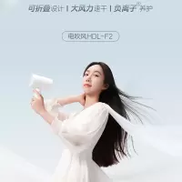 苏泊尔(SUPOR)电吹风大风力速干千万级负离子风温风速可调节 折叠新意巧瘦身大功率高转电机吹风机HDL-F2
