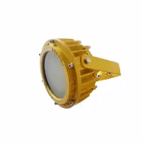 顶火 GMD8160 电压AC220V 功率50W IP66 防爆平台灯 (短款) 计价单位:盏 黄色