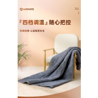 艾美特长毛绒电热毯TTCB03-01 [长宽 1.8*宽1.2m]灰色