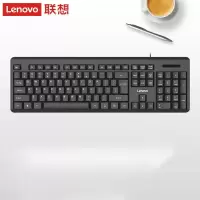 联想(Lenovo)有线键盘 K4800S 电脑办公键盘 笔记本键盘黑色 USB