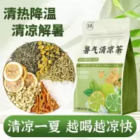 庄民 28包/袋 暑气清凉茶 独立包装夏天清凉茶降暑中药材降温凉茶中暑保健茶饮泡水煲汤官方旗舰店