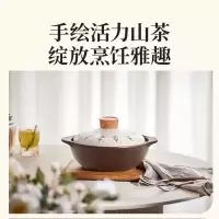 小熊砂锅煲家用耐高温干烧不裂煲仔饭燃气灶专用石锅陶瓷锅煲汤煲 CP-JG024-2[适合3-4人] 2.5L