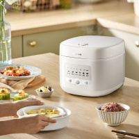 小熊电饭煲 电饭锅家用 4升大容量3-8人柴火饭多功能智能微快煮米饭锅 DFB-Q40E2容量 4L