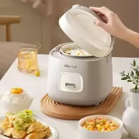 小熊(Bear)电饭煲 电饭锅1.6升家用小型2人多功能DFB-T16Q5抗菌釜胆