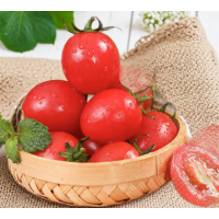 小西红柿500g圣女果小番茄