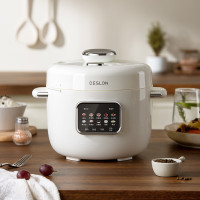 德世朗(DESLON)厨房家用多功能电压力锅 106DDQ-FB513