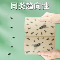 粘苍蝇贴100贴(单位:包)