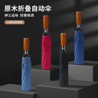 红叶(Hong Ye)10骨全自动雨伞男士加大加固商务折叠伞抗风暴双人晴雨伞一甩即干