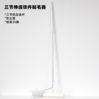 丽佳邦长杆伸缩大号滚筒粘毛器美纹粘尘纸 24cm美纹纸30撕 三段伸缩铁件手