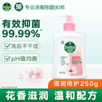滴露(Dettol)洗手液滋润250g 儿童洗手液抑菌消毒宝宝 水润补充装尝鲜