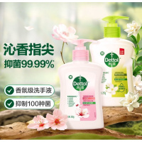 滴露洗手液滋润250g+绿茶250g 香氛儿童消毒洗手液抑菌99.99%