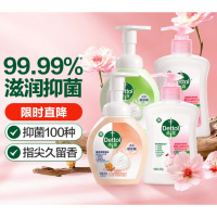 滴露(Dettol)泡沫洗手液250ml*2+洗手液250g*2