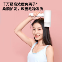 直白 折叠吹风机大功率速干电吹风筒家用负离子护发便携宿舍用学生HL380白
