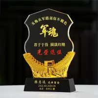 退伍八一军人纪念品送战友 礼品定制创意军旅老兵退役纪念品奖杯 19*13*4cm