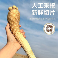 俏拇指肉苁蓉切片180g*2罐 AJ2523