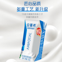 安慕希伊利希腊风味常温酸奶经典原味升级装整箱生牛乳牛奶乳品礼盒装 原味 205gx12盒x1箱