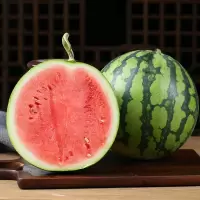 [熊猫鸟]云南新鲜麒麟西瓜 1个 7-8斤 新鲜水果 汁多肉甜