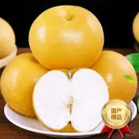 [熊猫鸟]精品圆黄梨 新鲜水果 松脆多汁 净重3斤装 单果250g以上