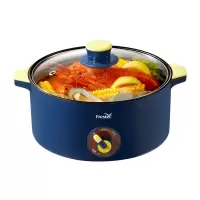 新飞电火锅FTHG-R060