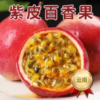[熊猫鸟]精品云南紫皮百香果西番莲鸡蛋果 净重2.5斤 中大果 新鲜采摘