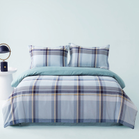 Z.M.N.(法国啄木鸟)云归棉涤磨毛四件套-雷瓦ZHT-0040