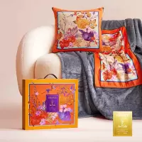 Z.M.N.(法国啄木鸟)锦上添花抱枕毯-爱佳ZHB-0009