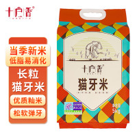 十户香猫牙米 优质长粒大米 籼米 现磨新米5KG真空装 猫牙米5kg